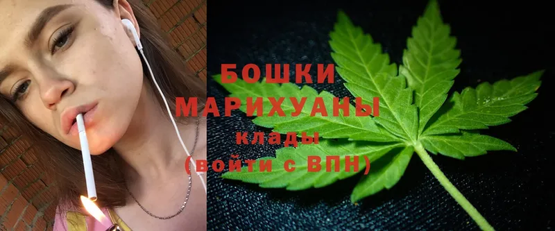 где можно купить наркотик  mega онион  Бошки Шишки SATIVA & INDICA  Владикавказ 